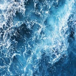 Meet your Posher, Abigail